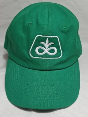 Pioneer Seeds Corteva Youth Snapback Hat